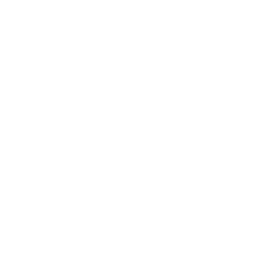 FEPSA